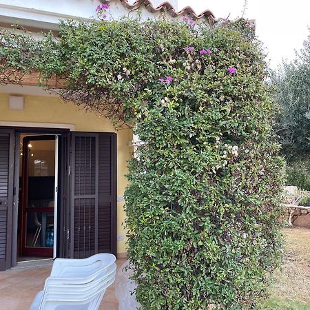 Tavolara Paradise Home Porto San Paolo  Buitenkant foto