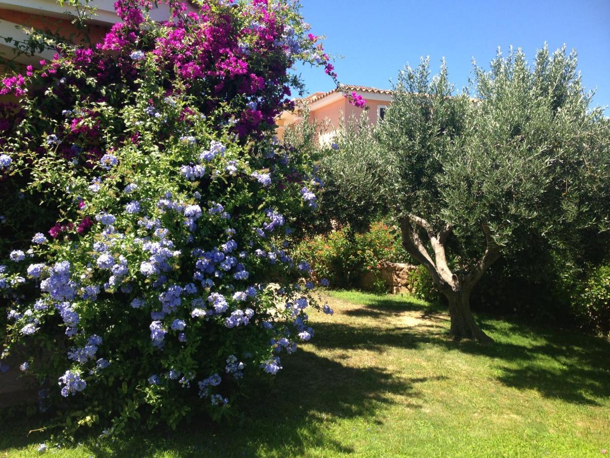 Tavolara Paradise Home Porto San Paolo  Buitenkant foto