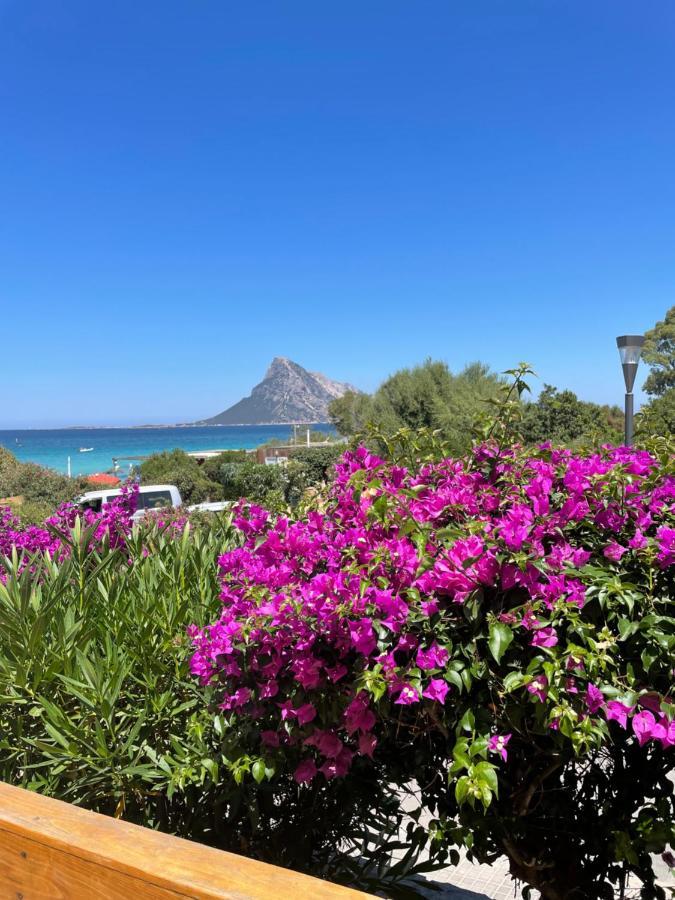 Tavolara Paradise Home Porto San Paolo  Buitenkant foto