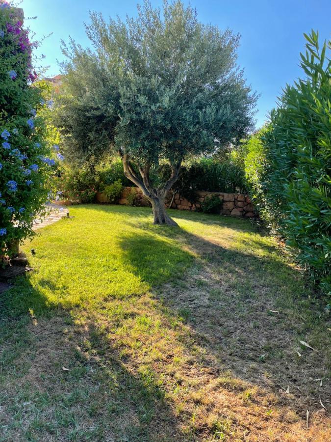 Tavolara Paradise Home Porto San Paolo  Buitenkant foto