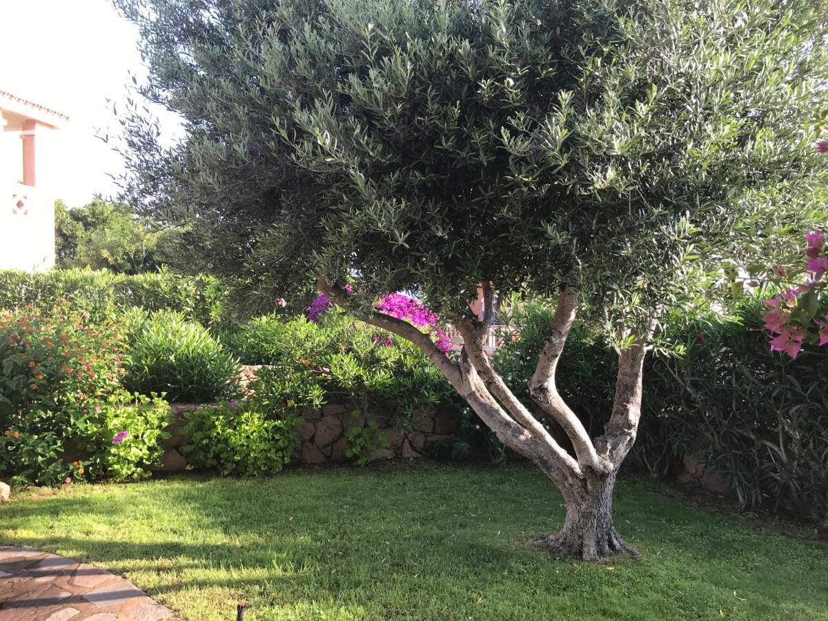 Tavolara Paradise Home Porto San Paolo  Buitenkant foto